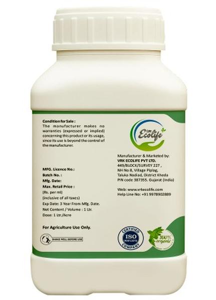 WhatsApp Image 2025-10-09 at 14.30.25_4e37b17a_431x598