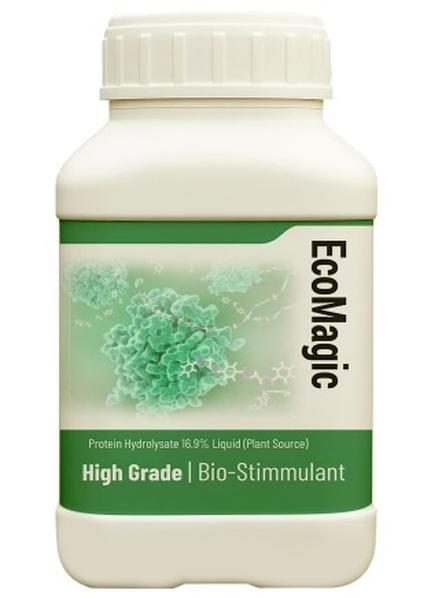 WhatsApp Image 2025-10-09 at 14.30.25_b3e2a0b2_431x598