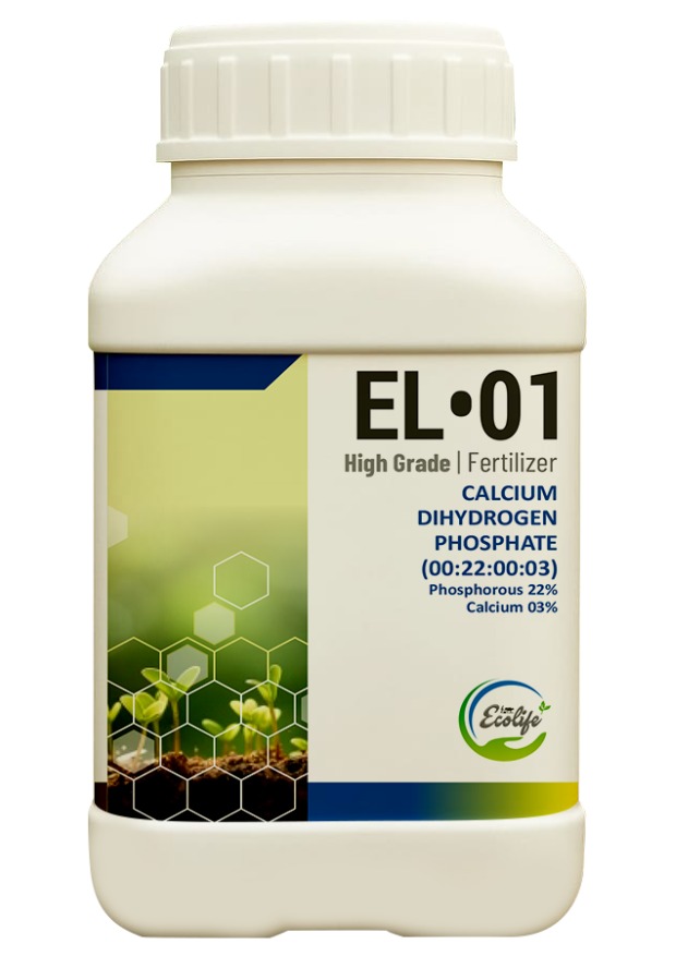 WhatsApp Image 2025-10-09 at 15.58.29_69ab24c9