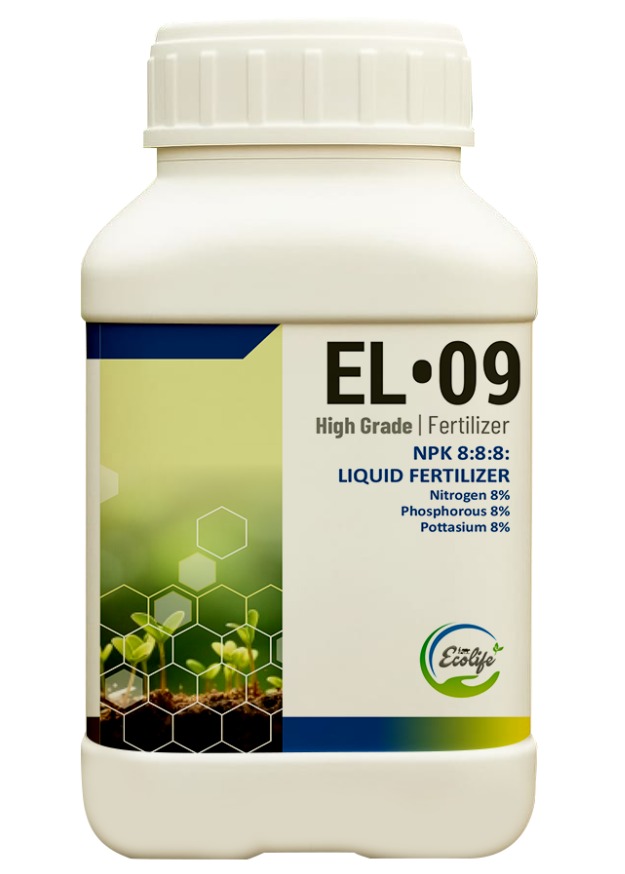 WhatsApp Image 2025-10-09 at 15.58.32_31cef7cd