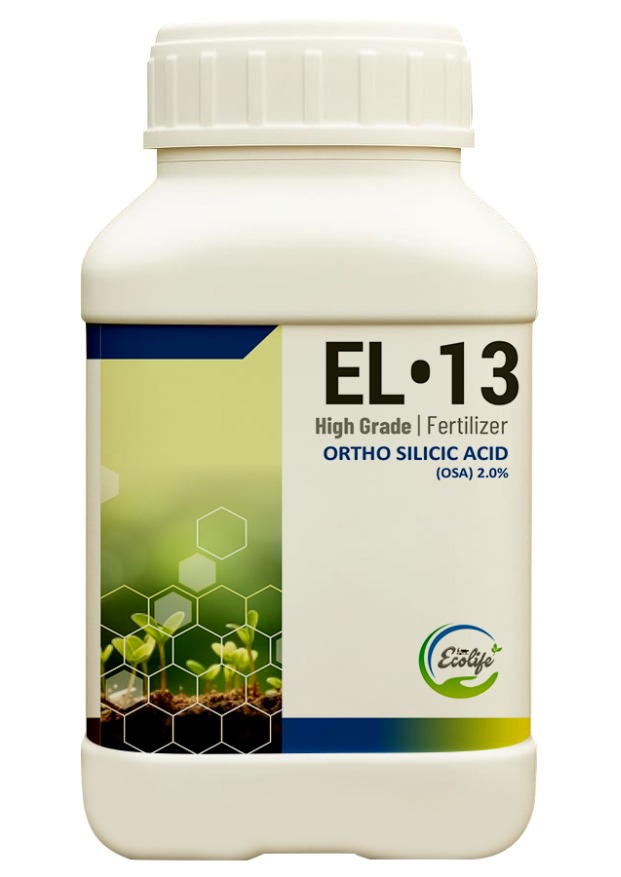 WhatsApp Image 2025-10-09 at 15.58.34_8b8ce3fe