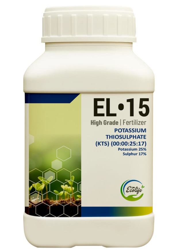 WhatsApp Image 2025-10-09 at 15.58.35_6df01f18