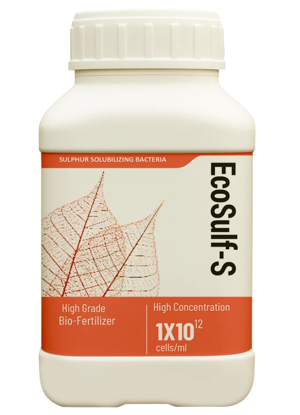 WhatsApp Image 2025-10-09 at 16.07.08_497870b4