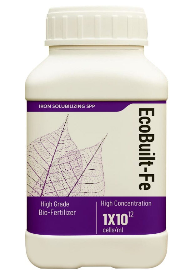 WhatsApp Image 2025-10-09 at 16.21.21_297cca15