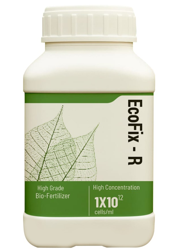 WhatsApp Image 2025-10-09 at 16.24.00_b395dee7