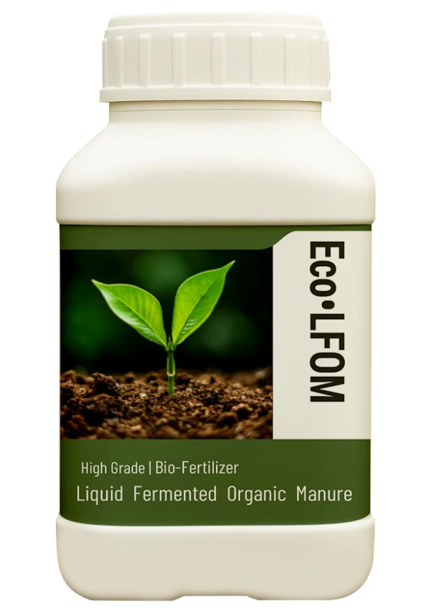 WhatsApp Image 2025-10-09 at 16.59.16_5247e39c