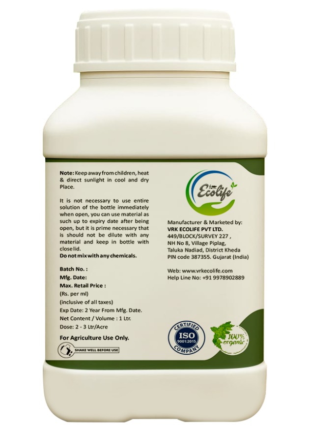 WhatsApp Image 2025-10-09 at 16.59.16_fe284b82