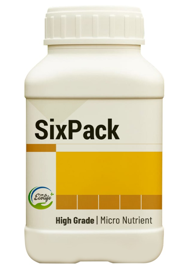 WhatsApp Image 2025-10-09 at 17.04.38_c0388a8a