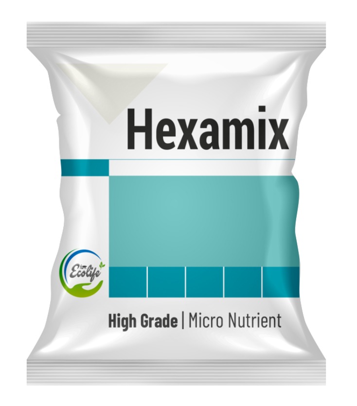 WhatsApp Image 2025-10-09 at 17.08.21_abd18293