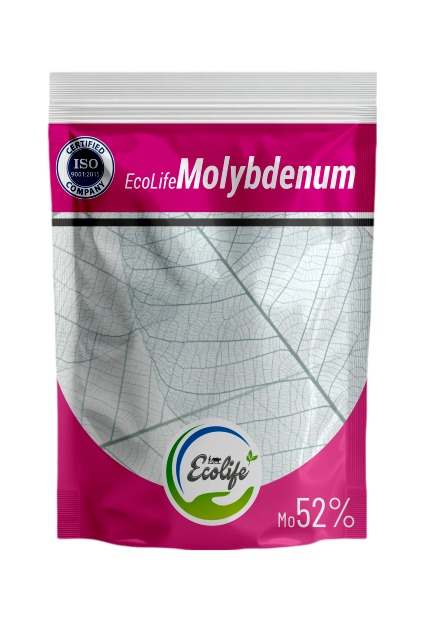 WhatsApp Image 2025-10-09 at 17.51.34_ecf450f7