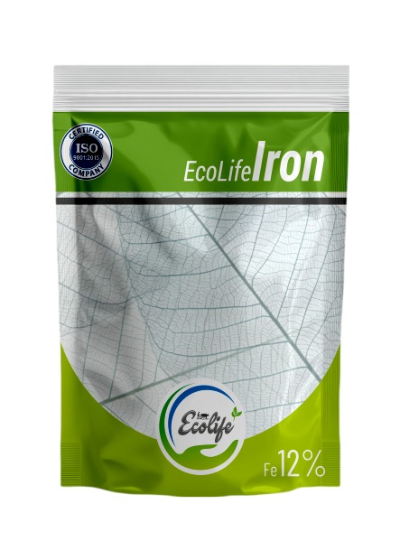 WhatsApp Image 2025-10-09 at 17.51.36_339d9baf