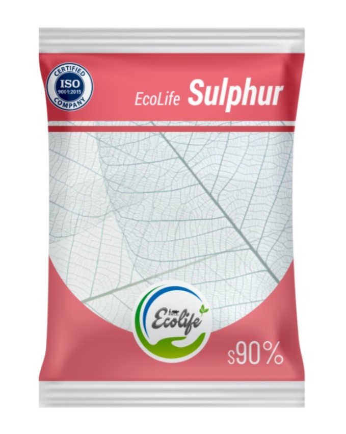 WhatsApp Image 2025-10-09 at 17.52.42_0befe633