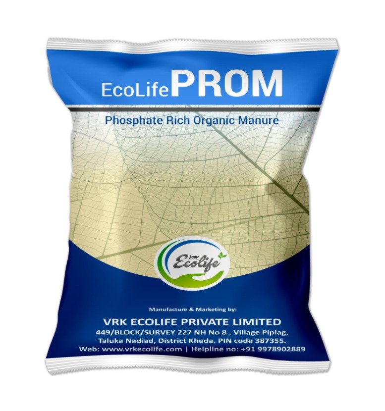 WhatsApp Image 2025-10-09 at 17.55.46